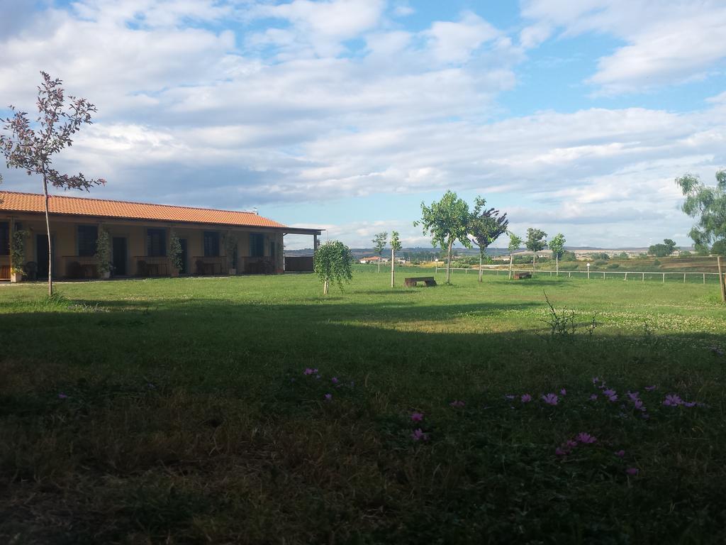 Agriturismo San Matteo Тарквиния Номер фото