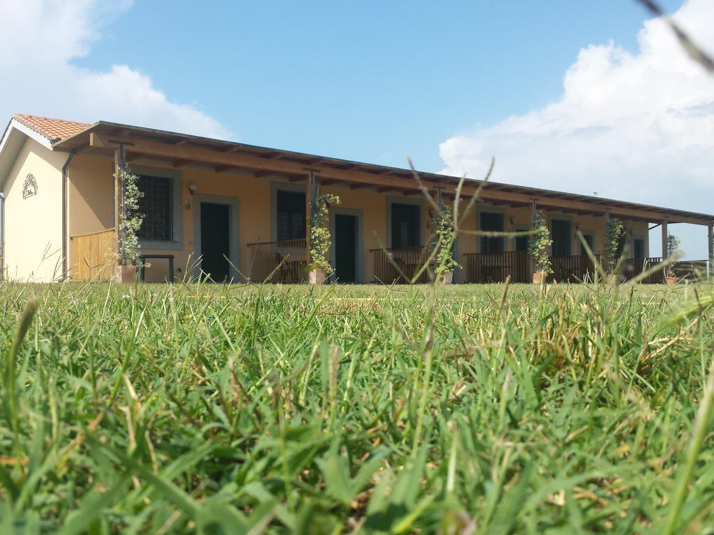Agriturismo San Matteo Тарквиния Номер фото