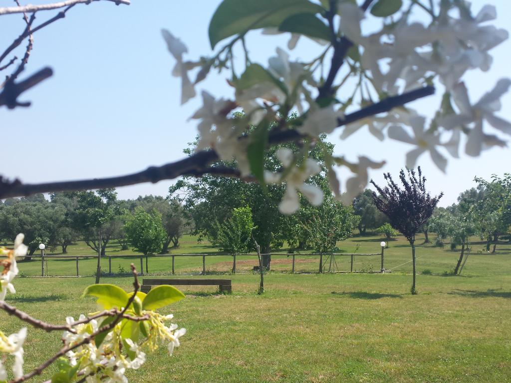Agriturismo San Matteo Тарквиния Номер фото