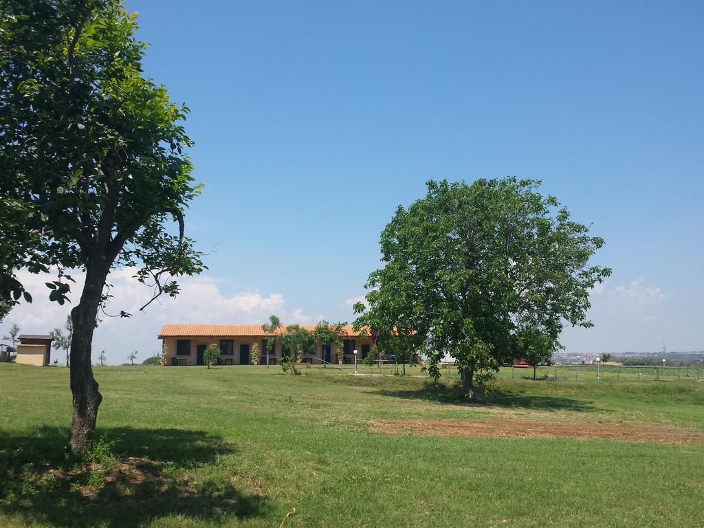 Agriturismo San Matteo Тарквиния Номер фото