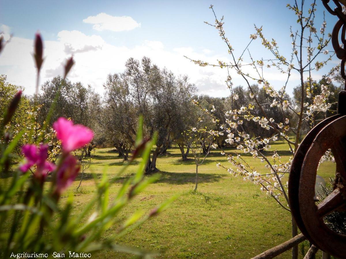 Agriturismo San Matteo Тарквиния Экстерьер фото