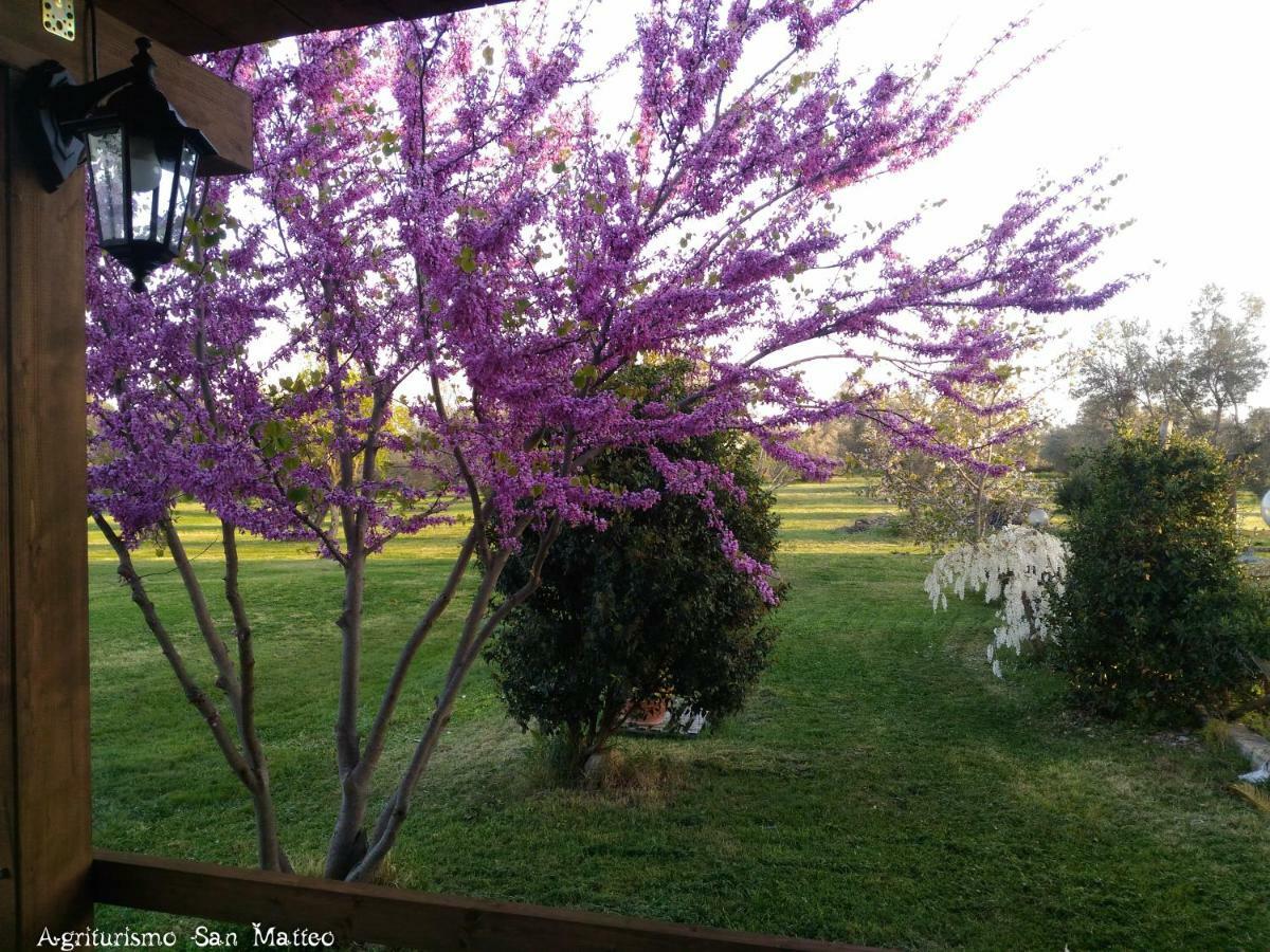 Agriturismo San Matteo Тарквиния Экстерьер фото