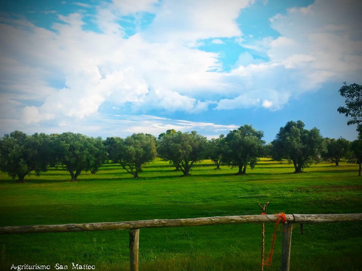 Agriturismo San Matteo Тарквиния Экстерьер фото