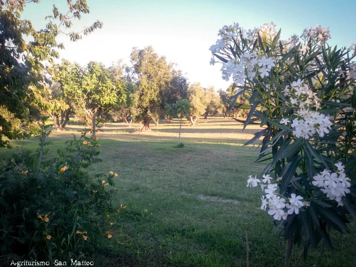 Agriturismo San Matteo Тарквиния Экстерьер фото