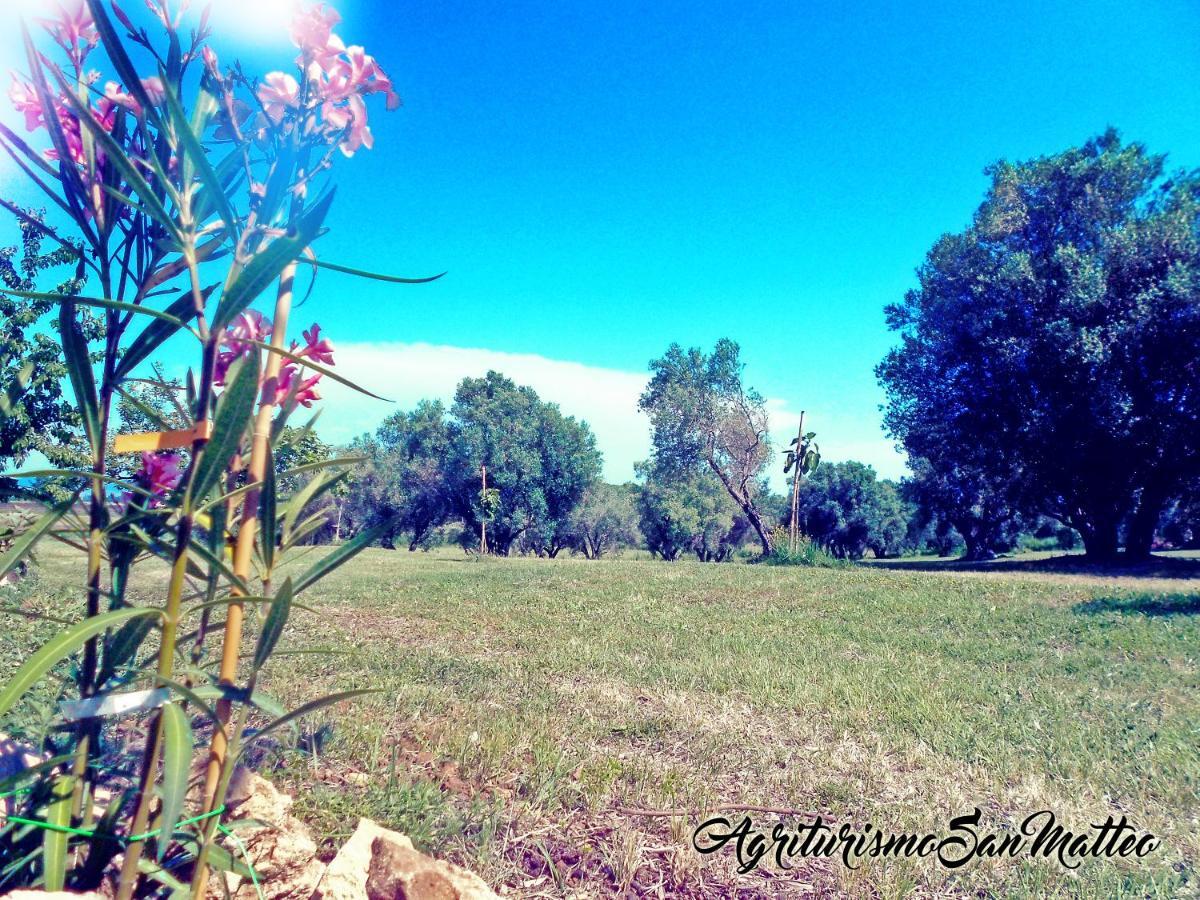 Agriturismo San Matteo Тарквиния Экстерьер фото