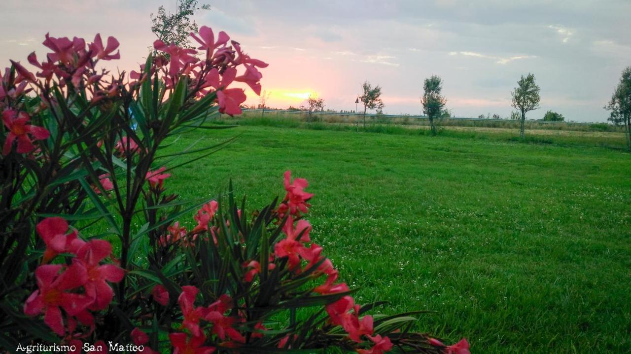 Agriturismo San Matteo Тарквиния Экстерьер фото